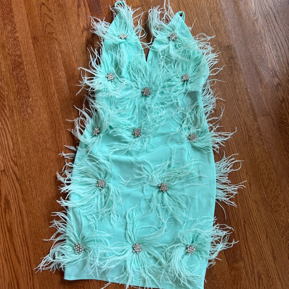 Elegant Feathered Home Accent in Mint Green size small